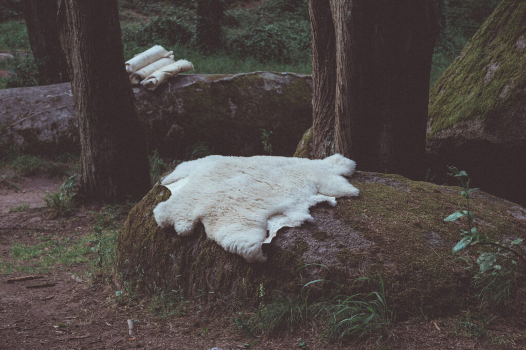Beautiful sheepskins over a rock in a forest