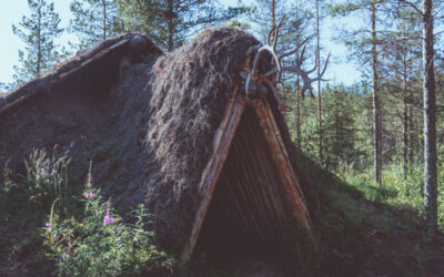 Neolithic Living | It’s happening!