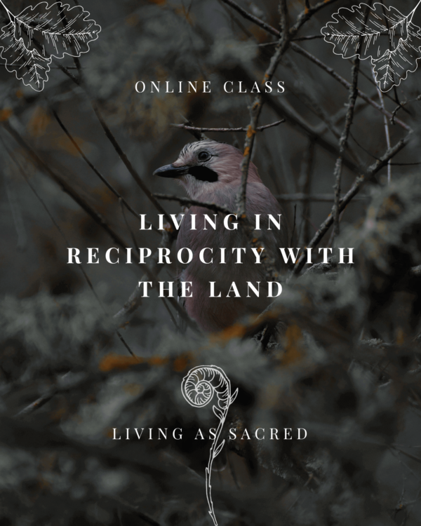 Living in Reciprocity with the Land