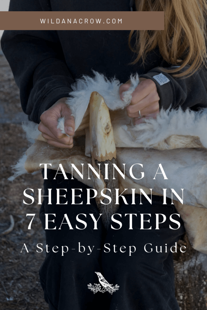 Tanning a Sheepskin in 7 Easy Steps