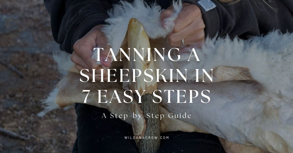 Tanning a Sheepskin in 7 Easy Steps (A Step-by-Step Guide)