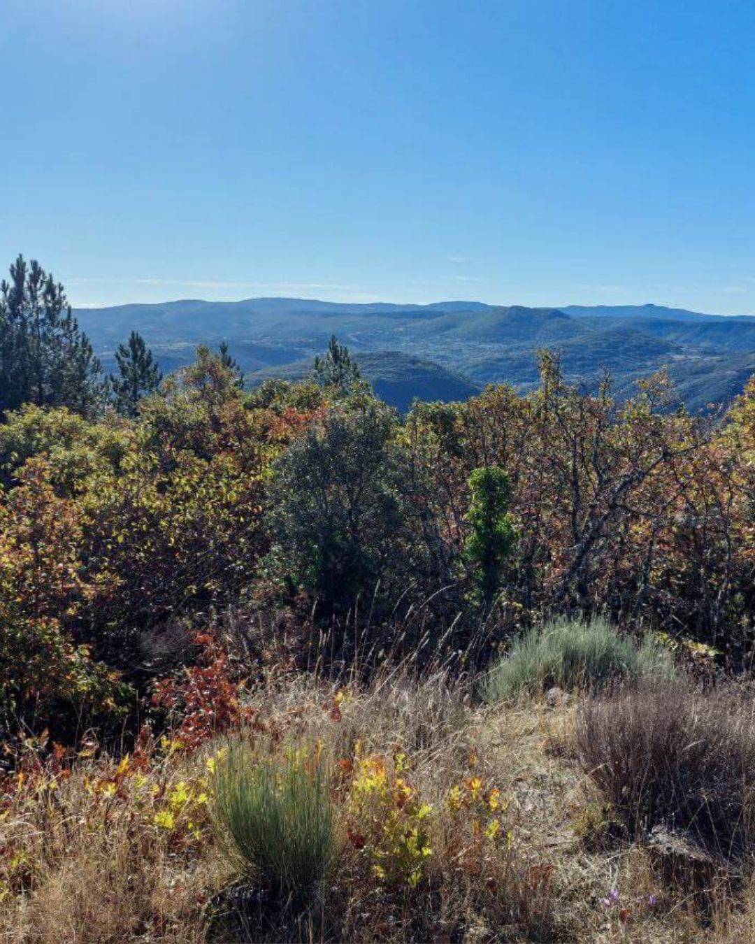 Wildlife Track & Sign Course | April 24-28 | René Nauta - Image 2