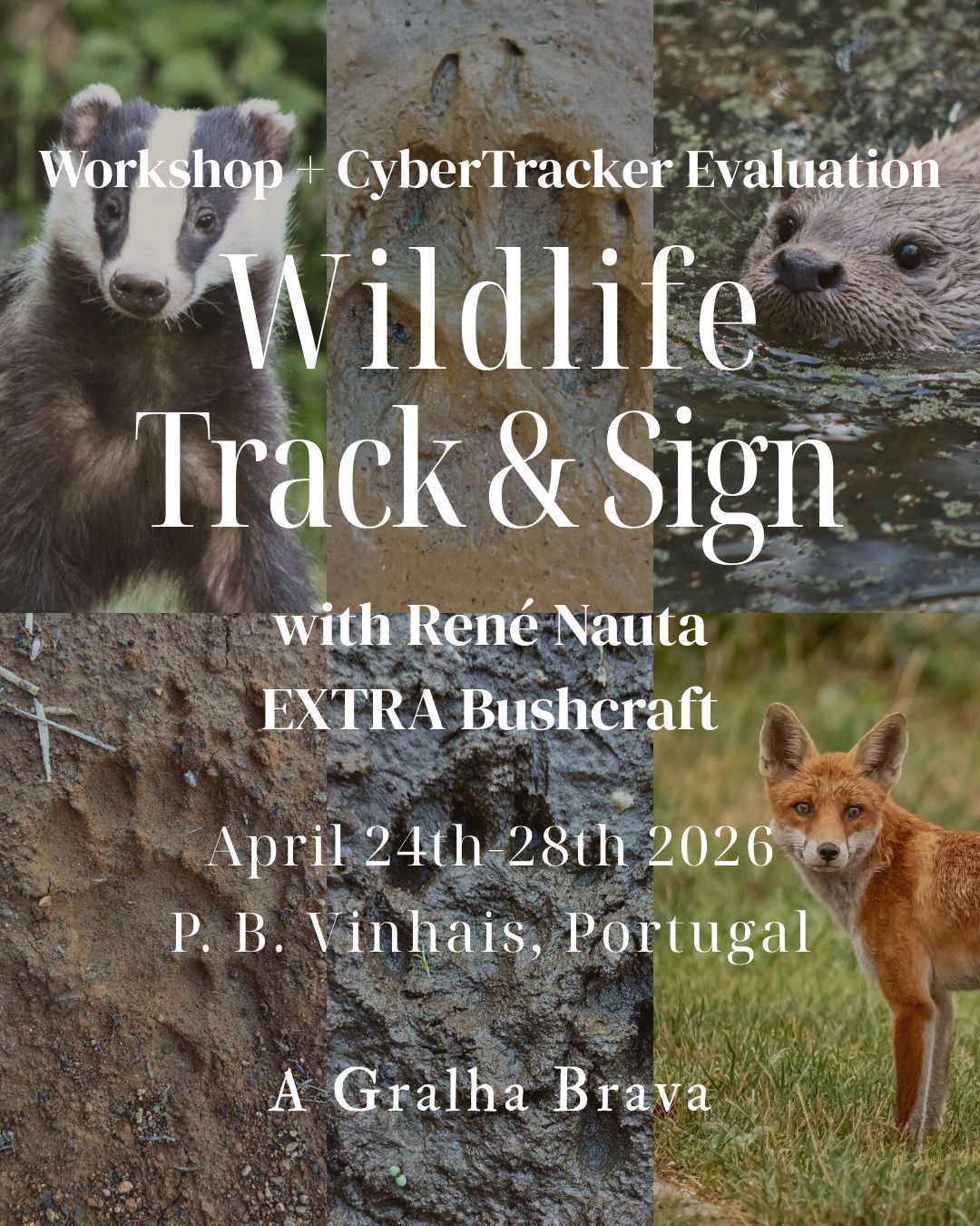 Wildlife Track & Sign Course | April 24-28 | René Nauta